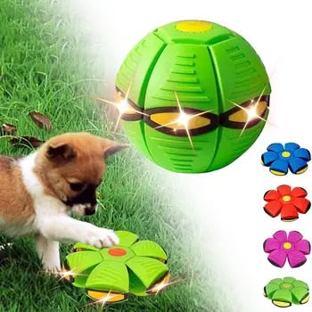 Interactive Dog Flying Disc Toy for Active Play and Fetch Games 0
