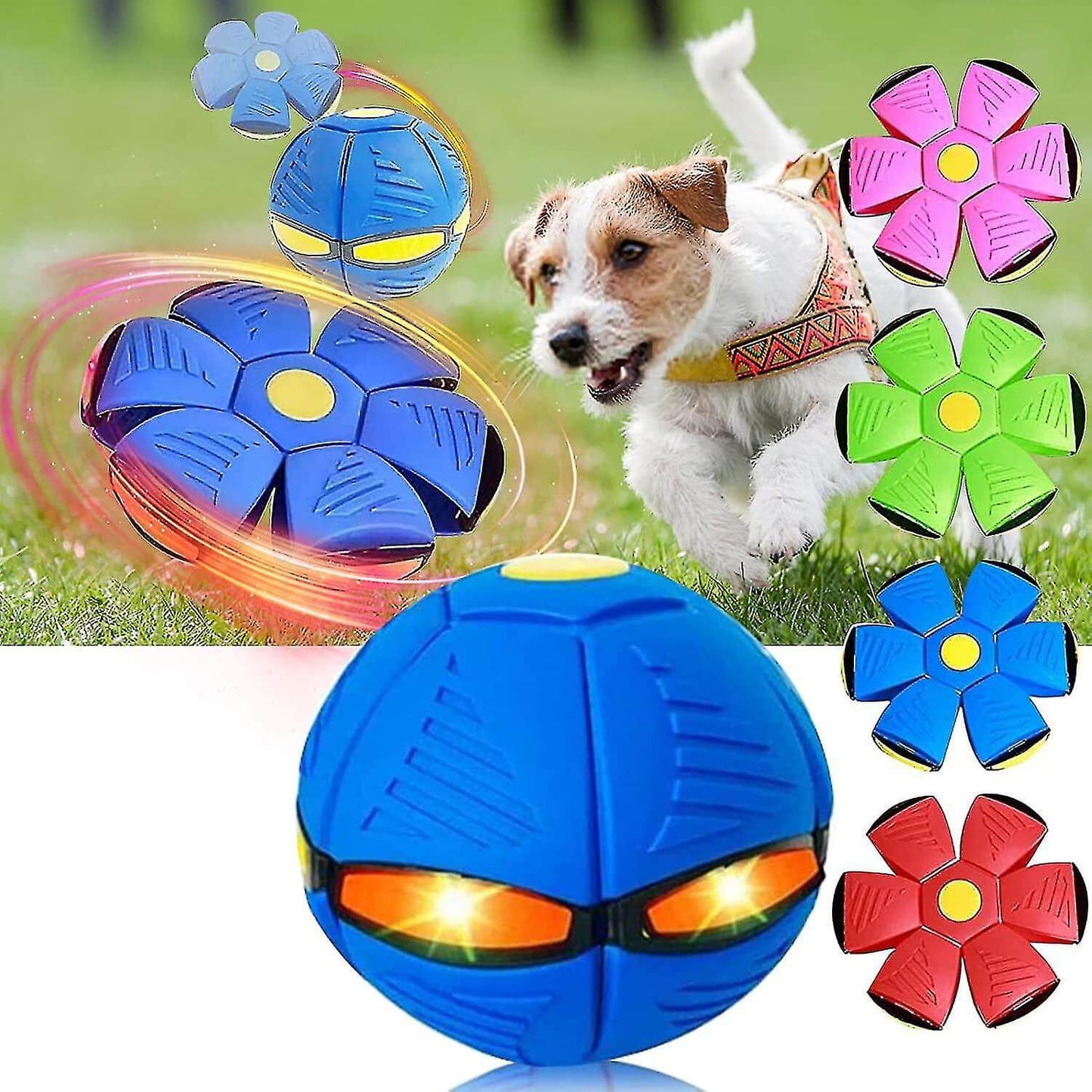 Interactive Dog Flying Disc Toy for Active Play and Fetch Games 1