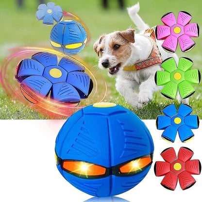 Interactive Dog Flying Disc Toy for Active Play and Fetch Games 1