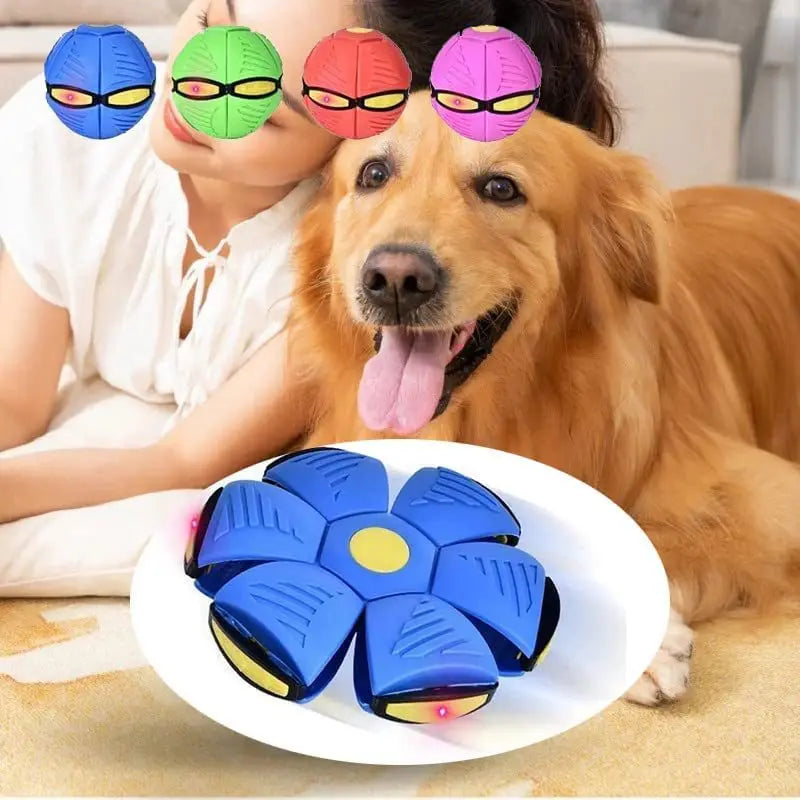 Interactive Dog Flying Disc Toy for Active Play and Fetch Games 2