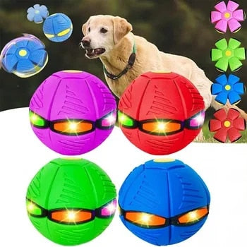 Interactive Dog Flying Disc Toy for Active Play and Fetch Games 3