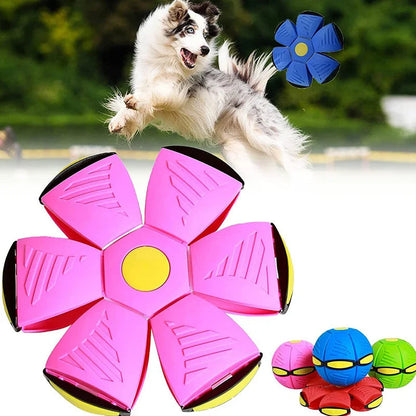 Interactive Dog Flying Disc Toy for Active Play and Fetch Games 6