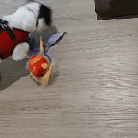 Interactive Dog Snuffle Ball with Tug Rope for Mental Stimulation 4