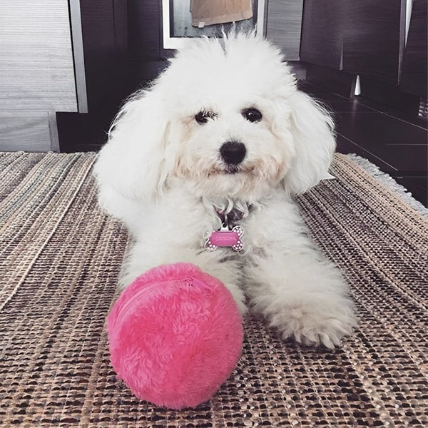 Interactive Dog Toy Automatic Rolling Ball for All Dog Sizes 1