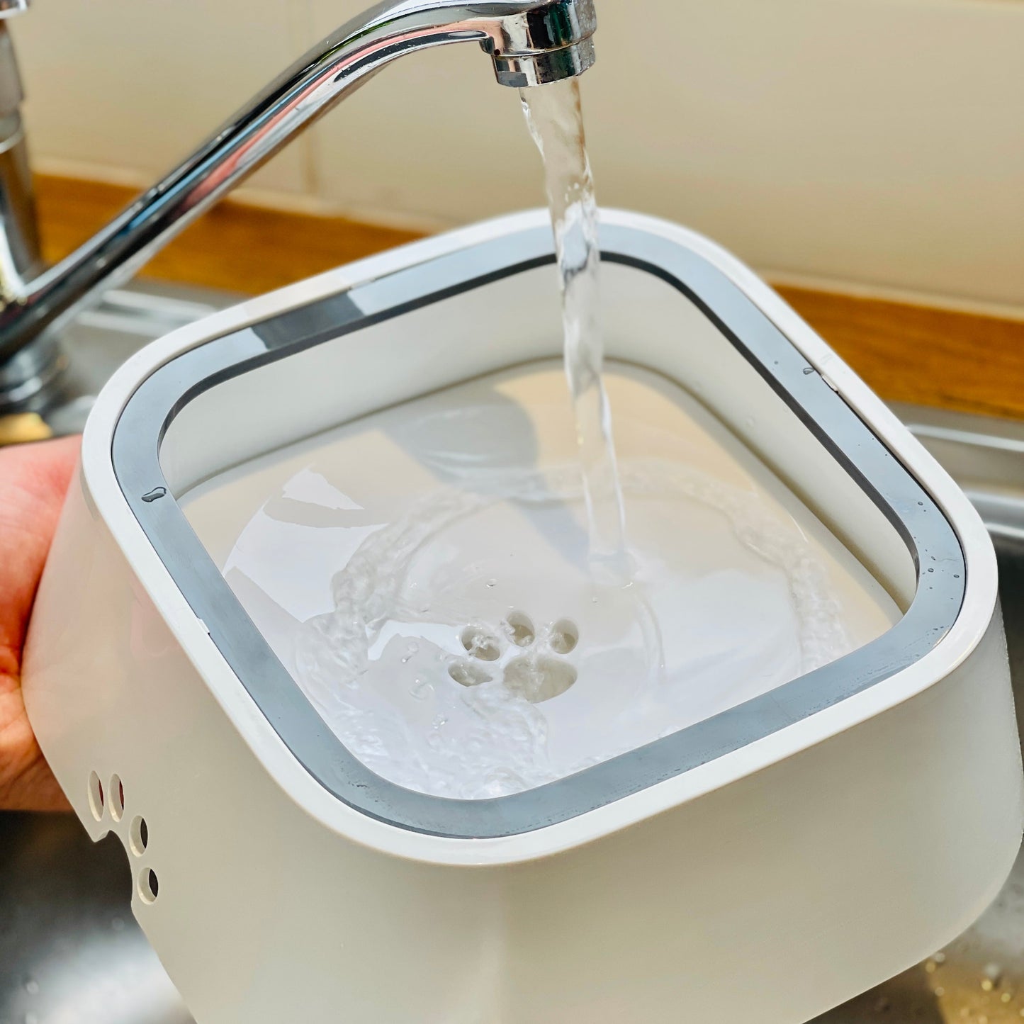 Non-Spill Dog Water Bowl with Floating Plate for Clean Drinking 4