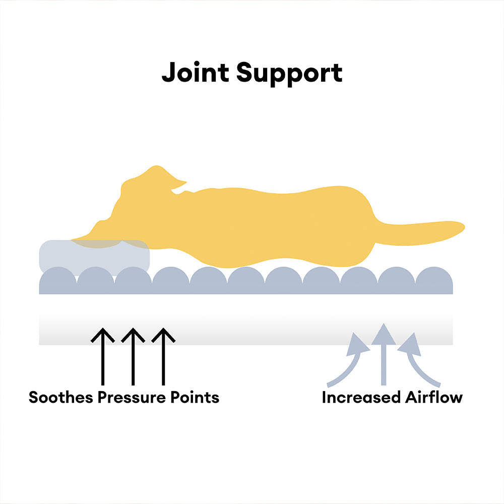 Orthopedic Large Dog Bed with Plush Headrest for Ultimate Comfort 4