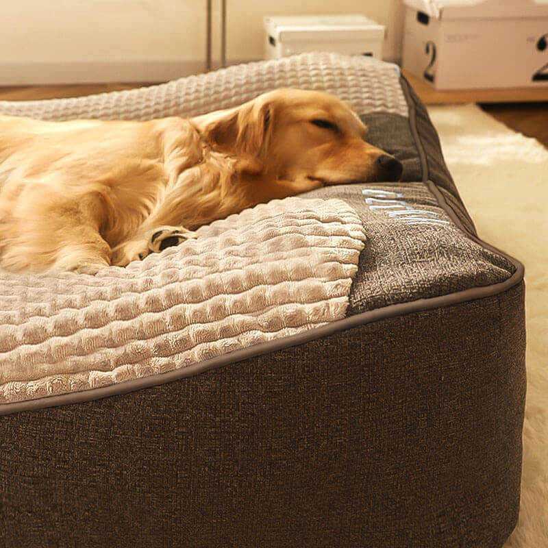 Orthopedic Large Dog Bed with Plush Support and Anti-Slip Base 2