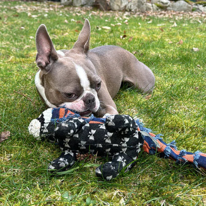 Dog Toy Durable Rubber Chew Toy for Heavy Chewers with Squeaker