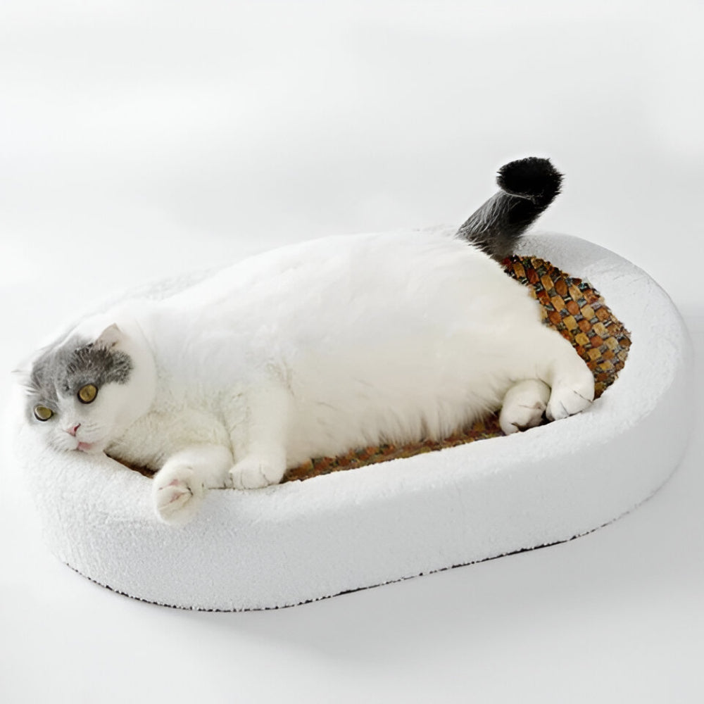 Cat Bed with Scratch Pad Surface for Lounging and Play
