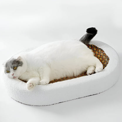 Cat Bed with Scratch Pad Surface for Lounging and Play