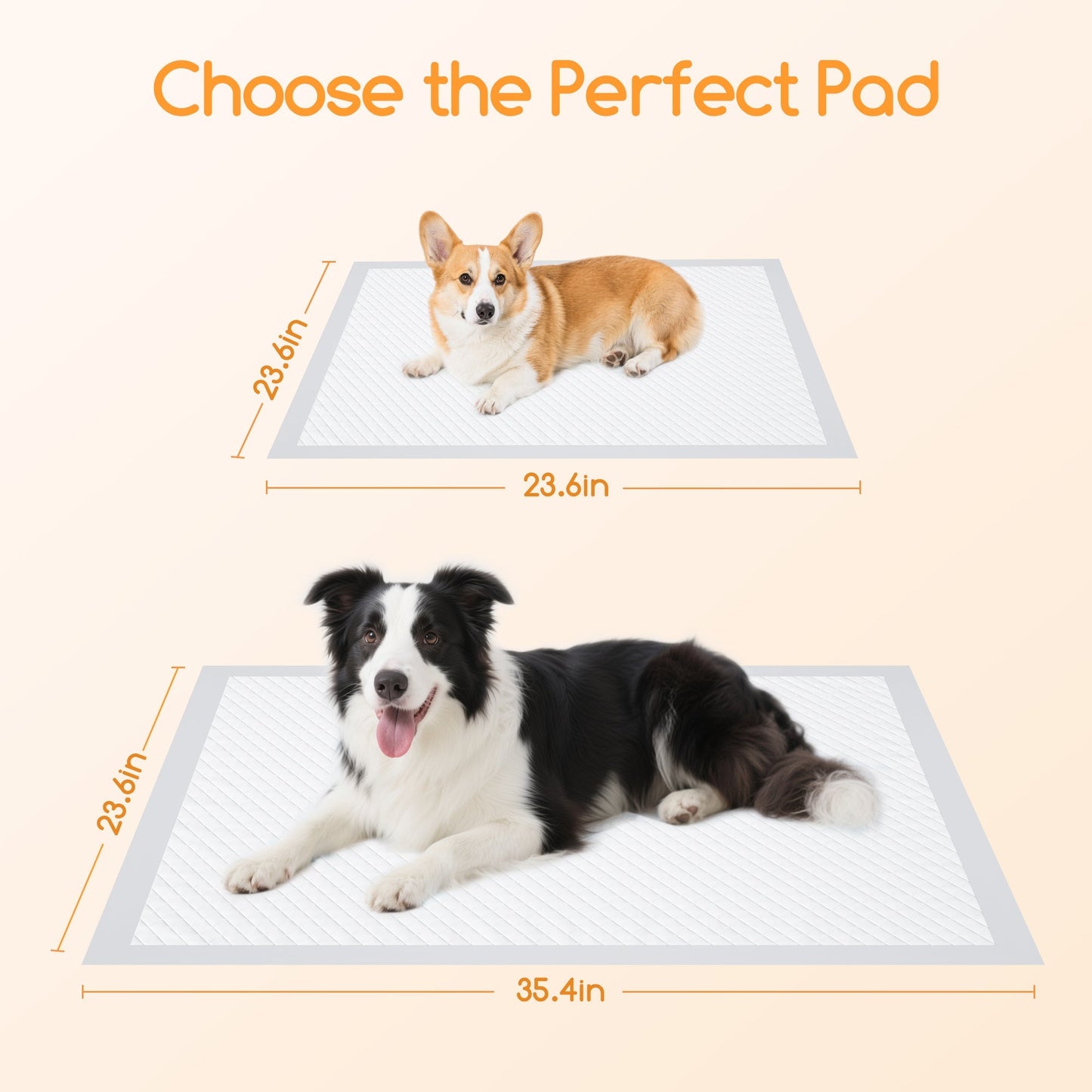 Puppy Pads with 6-Layer Protection for Housebreaking and Training 2