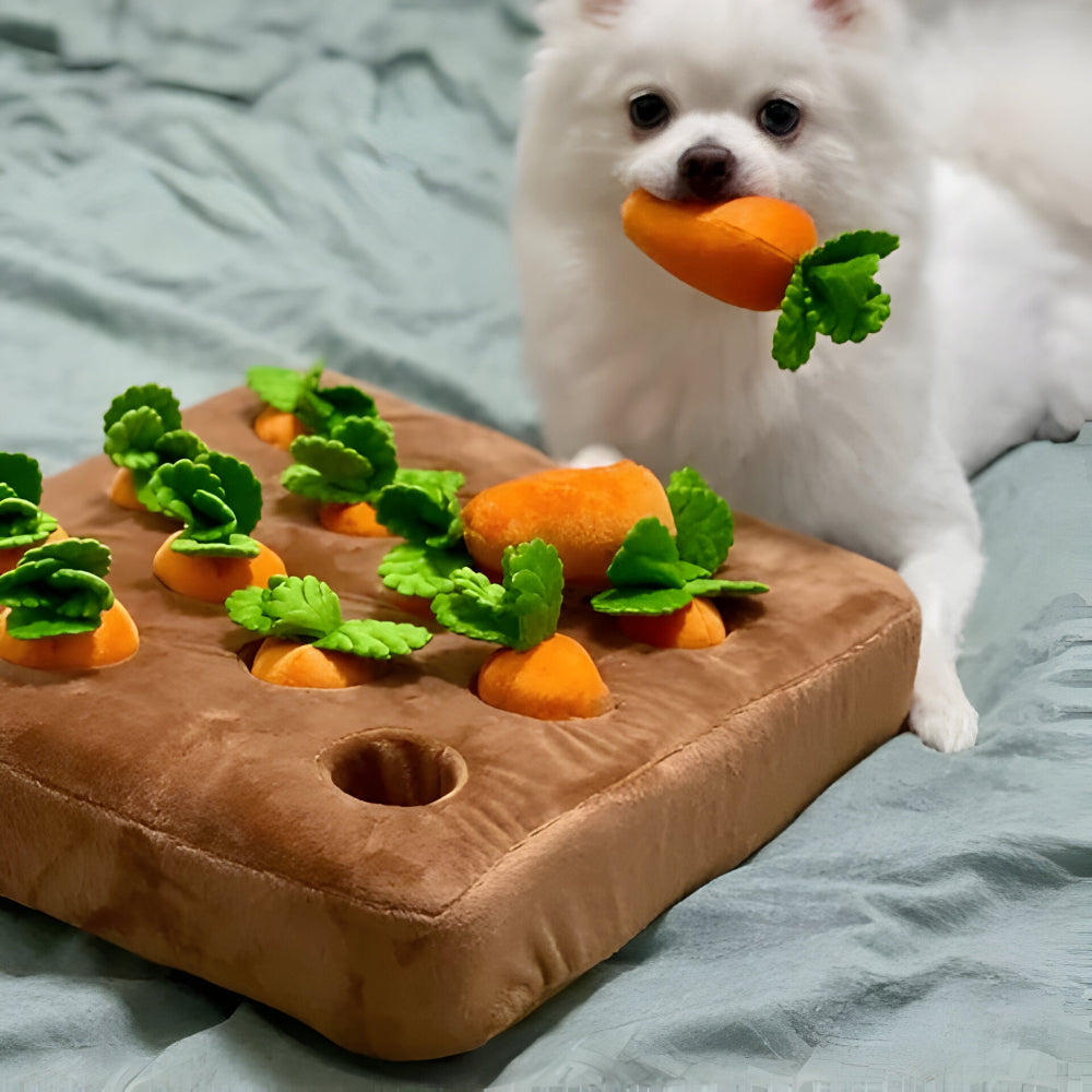 Dog Puzzle Toy Carrot Snuffle Mat for Mental Stimulation and Fun