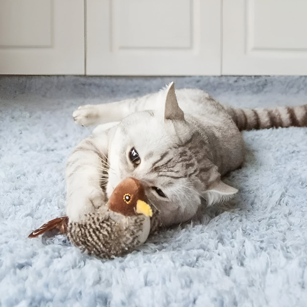 Cat Toy with Flapping Wings and Realistic Chirping Sounds