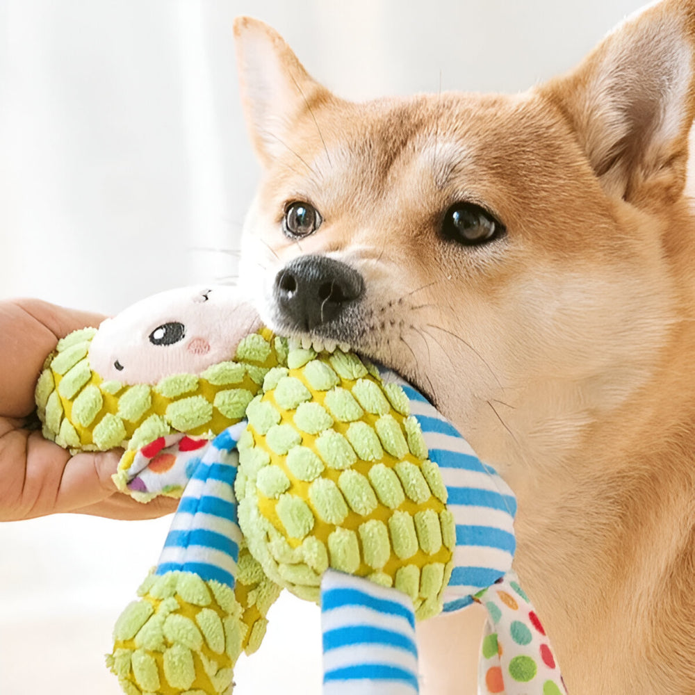 Dog Toy Durable Plush Squeaky Toy for Aggressive Chewers and Play