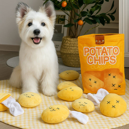 Dog Toy Set for Chewing, Fetching and Interactive Play