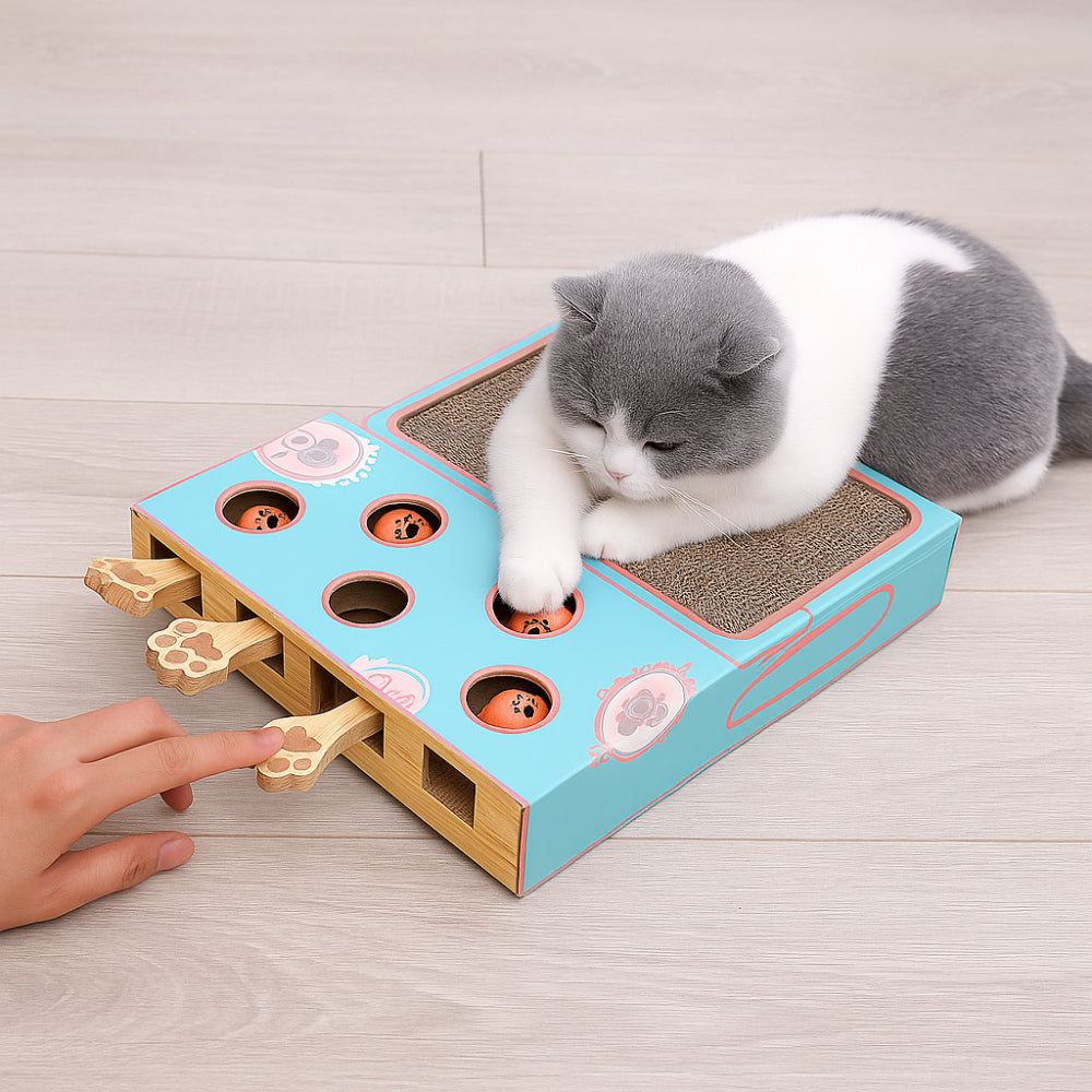 Cat Scratcher Toy Box with Interactive Paw Game and Lounge