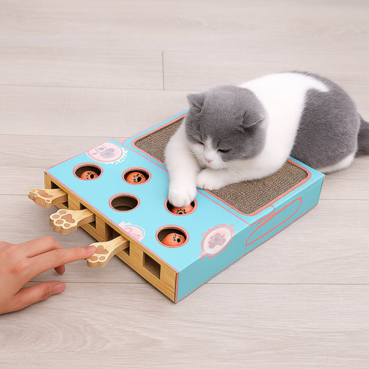 Cat Scratcher Toy Box with Interactive Paw Game and Lounge