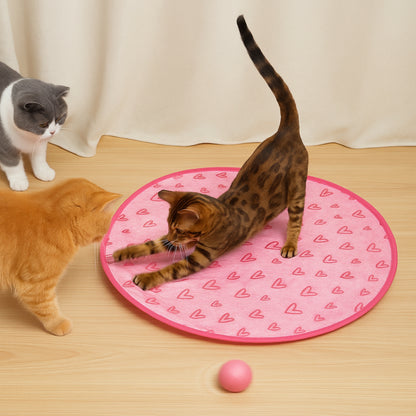 Cat Toy Interactive Play Mat for Indoor Exercise and Training