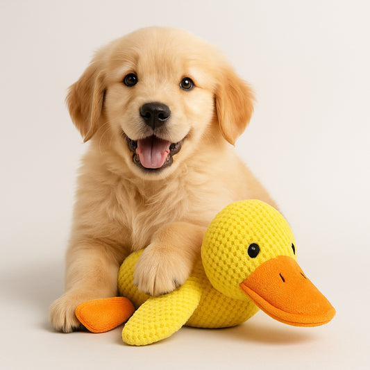 Dog Chew Toy Durable Plush Duck for Mental Stimulation and Play