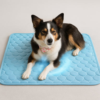 Dog Cooling Mat Gel Pad for Summer Heat Relief and Comfort