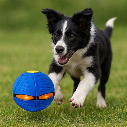 Dog Toy Flying Disc Interactive Ball for Outdoor Fetch Games