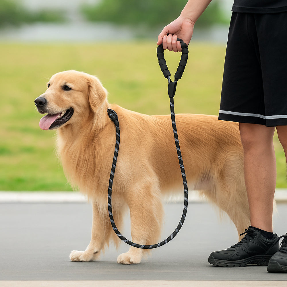 Dog Leash Reflective Heavy Duty Rope with Padded Handle for Walking