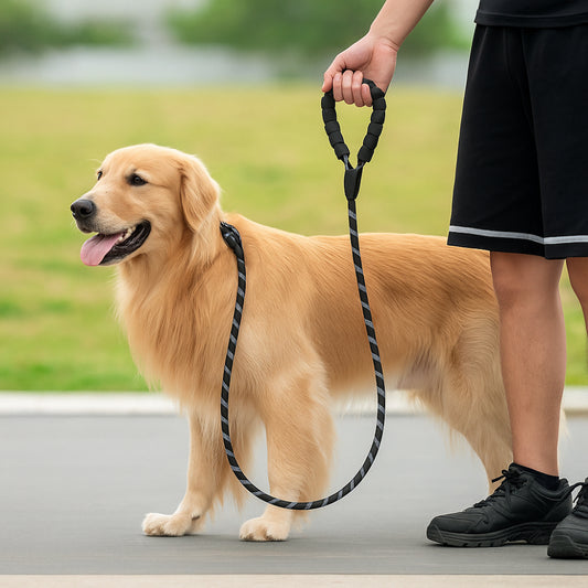 Dog Leash Reflective Heavy Duty Rope with Padded Handle for Walking