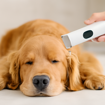 Dog Nail Clippers 4-in-1 Quiet Grooming Kit for Hair Paws and Nails