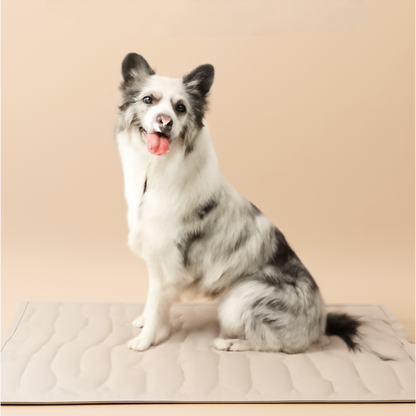 Dog Cooling Mat Reversible Washable Pad for Summer and Winter Comfort
