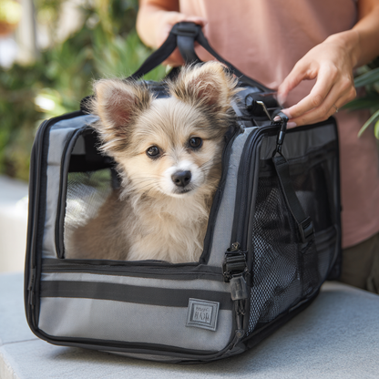 Foldable Pet Travel Carrier