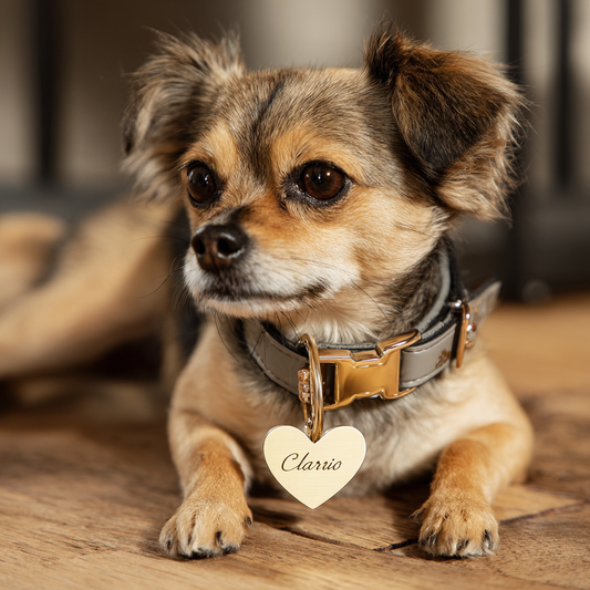 Personalized Pet Name Tag